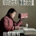 克律塞伊丝36351